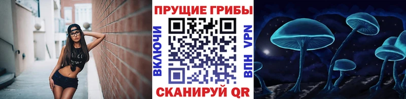 наркошоп  Черепаново  Псилоцибиновые грибы Cubensis 
